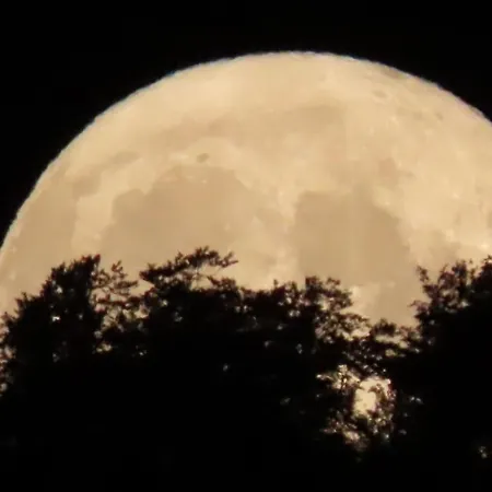 Du Verger * Soulan (Hautes-Pyrenees)